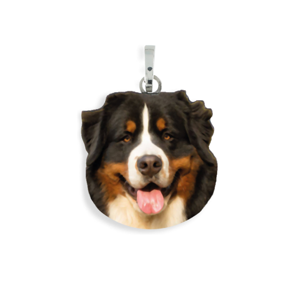 Medaglia pendente in argento con razza Bernese