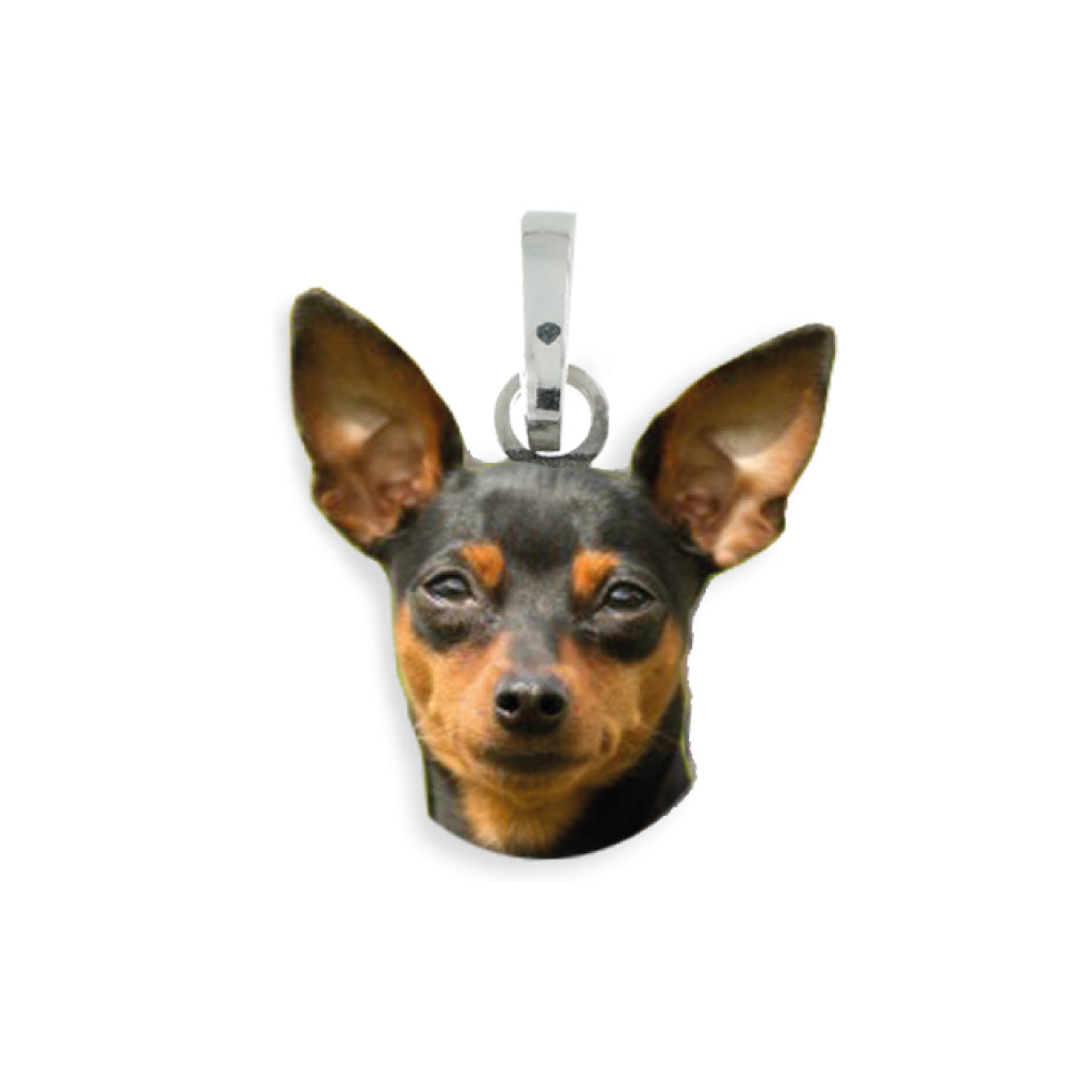 Medaglia pendente in argento con razza Pinscher