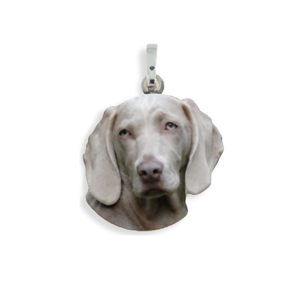 Medaglia pendente in argento con razza  Weimaraner