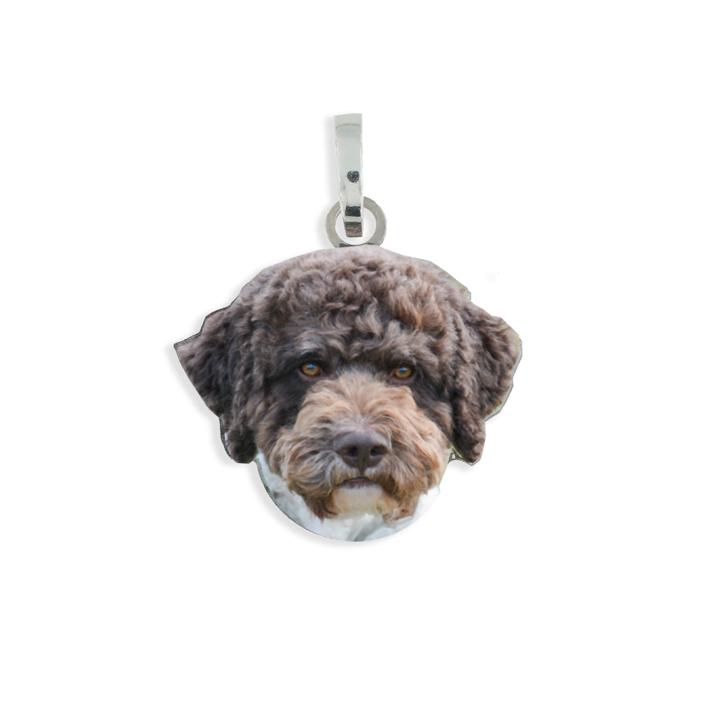 Medaglia pendente in argento con razza Lagotto Romagnolo