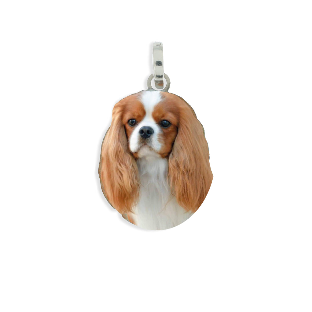 Medaglia pendente in argento con razza   Cavalier King
