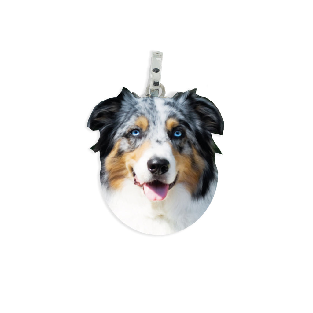 Medaglia pendente in argento con razza Australian Shepherd